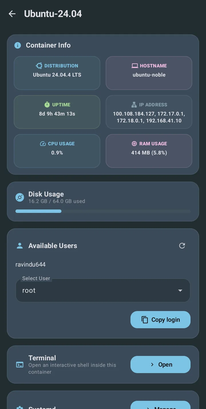 Container info for Ubuntu 24.04: distribution, hostname, uptime of 8 days, IP addresses, CPU and RAM usage, disk usage, users and a terminal button