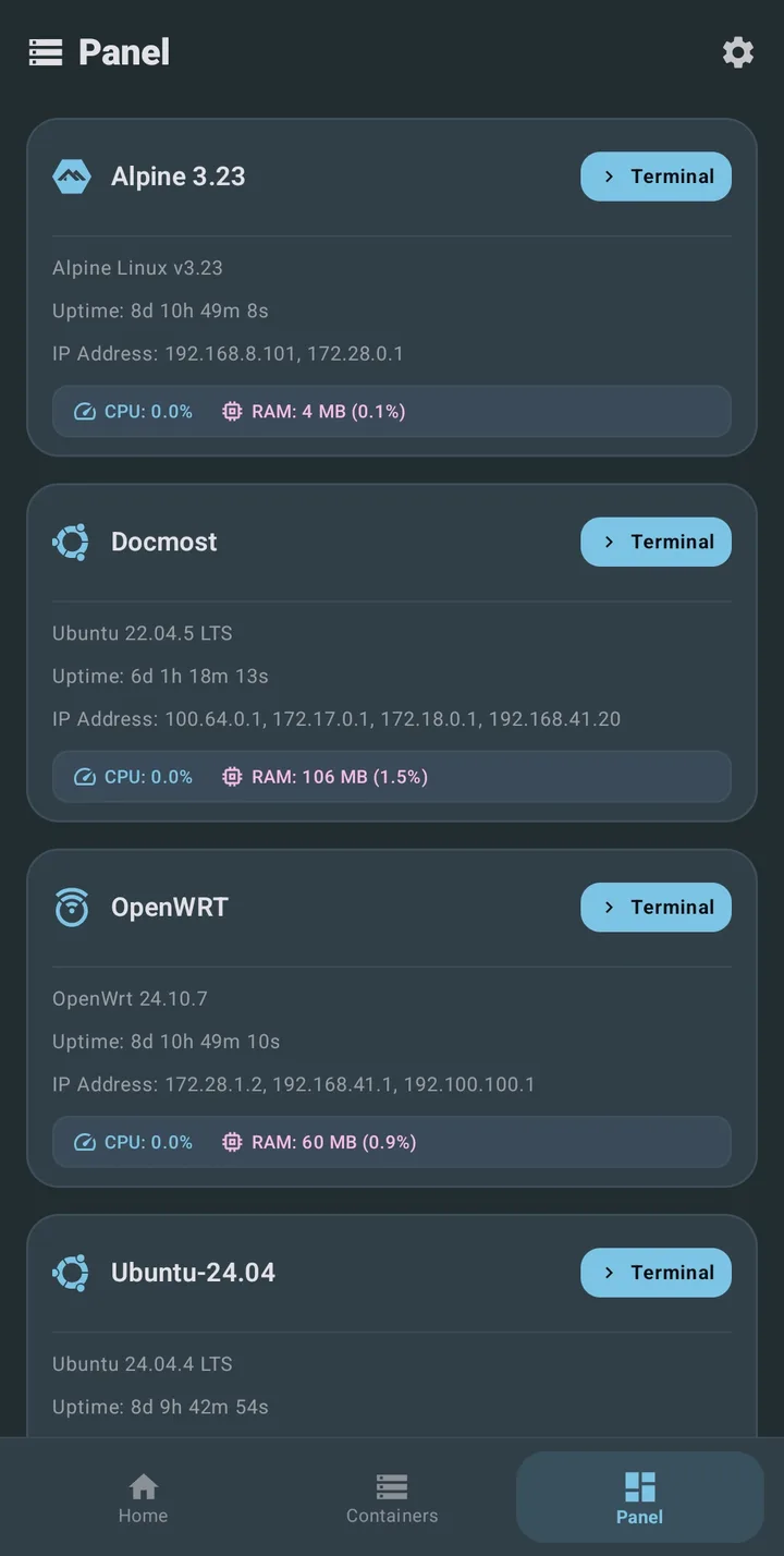 The Panel screen with uptime, IP addresses, CPU and RAM for four containers