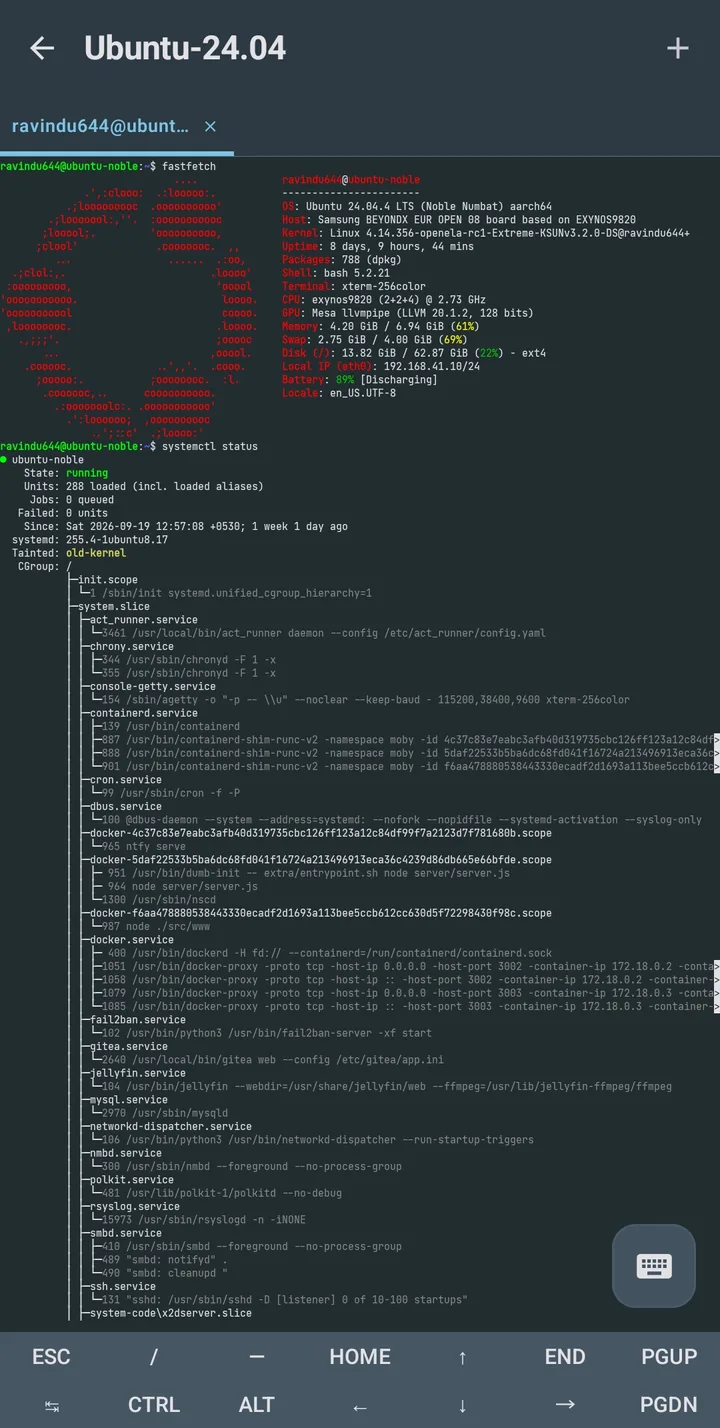 The app's built-in terminal inside an Ubuntu container showing fastfetch output and systemctl status with systemd as PID 1 and services such as docker, gitea, jellyfin and ssh running